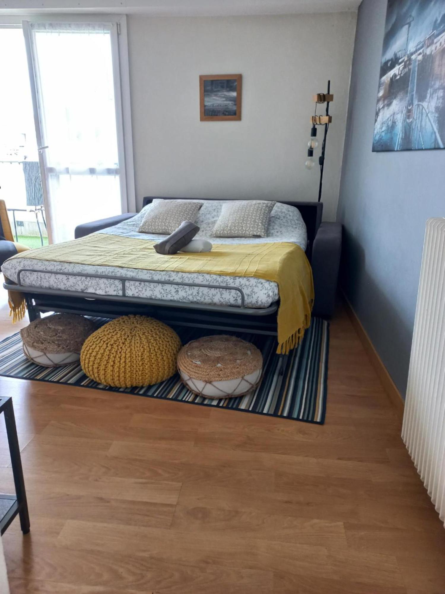 Nant'Sud Loire Apartment น็องต์ ภายนอก รูปภาพ